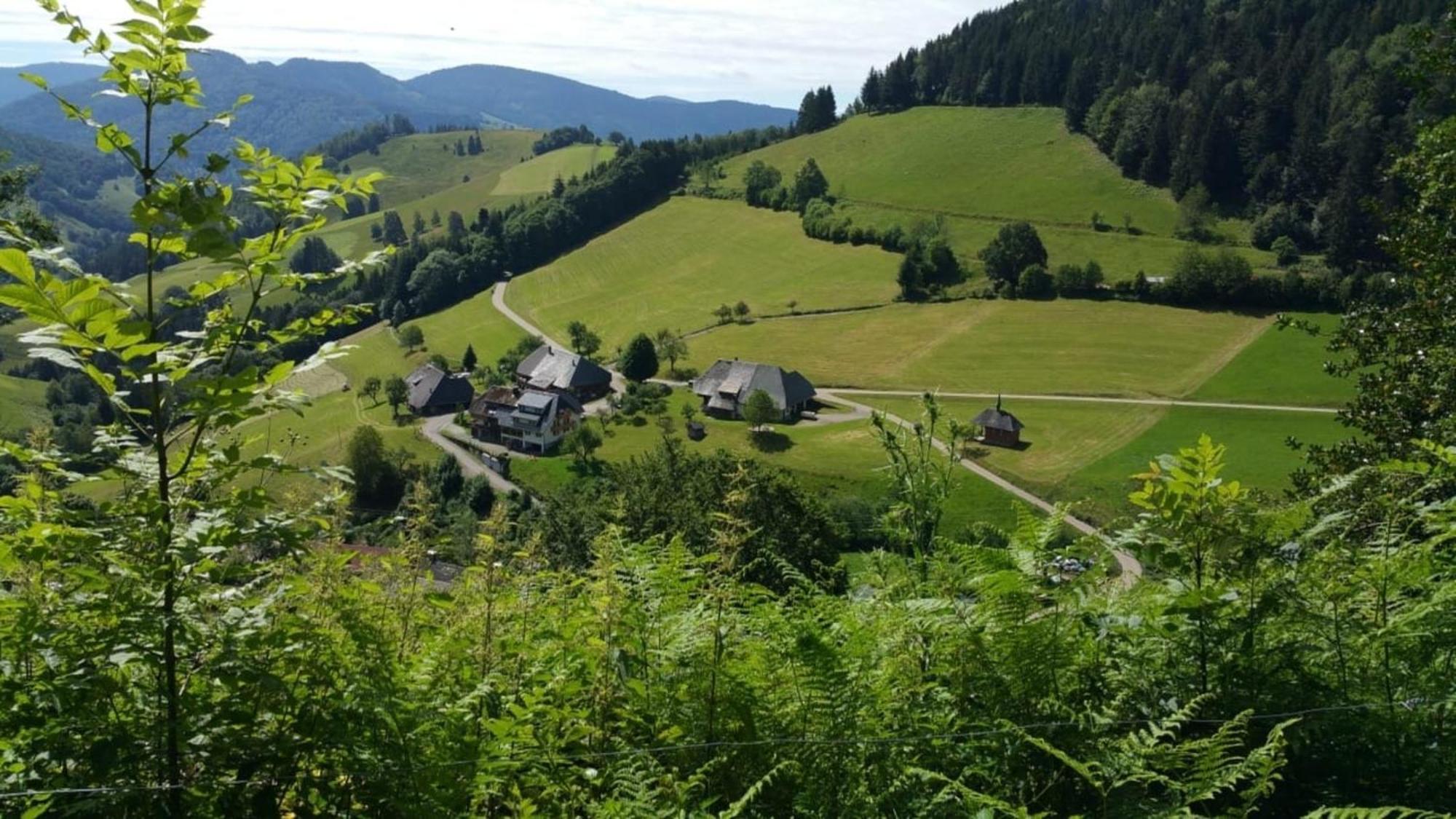 Apartmán Haus Foehrenbach Schonenberg Exteriér fotografie