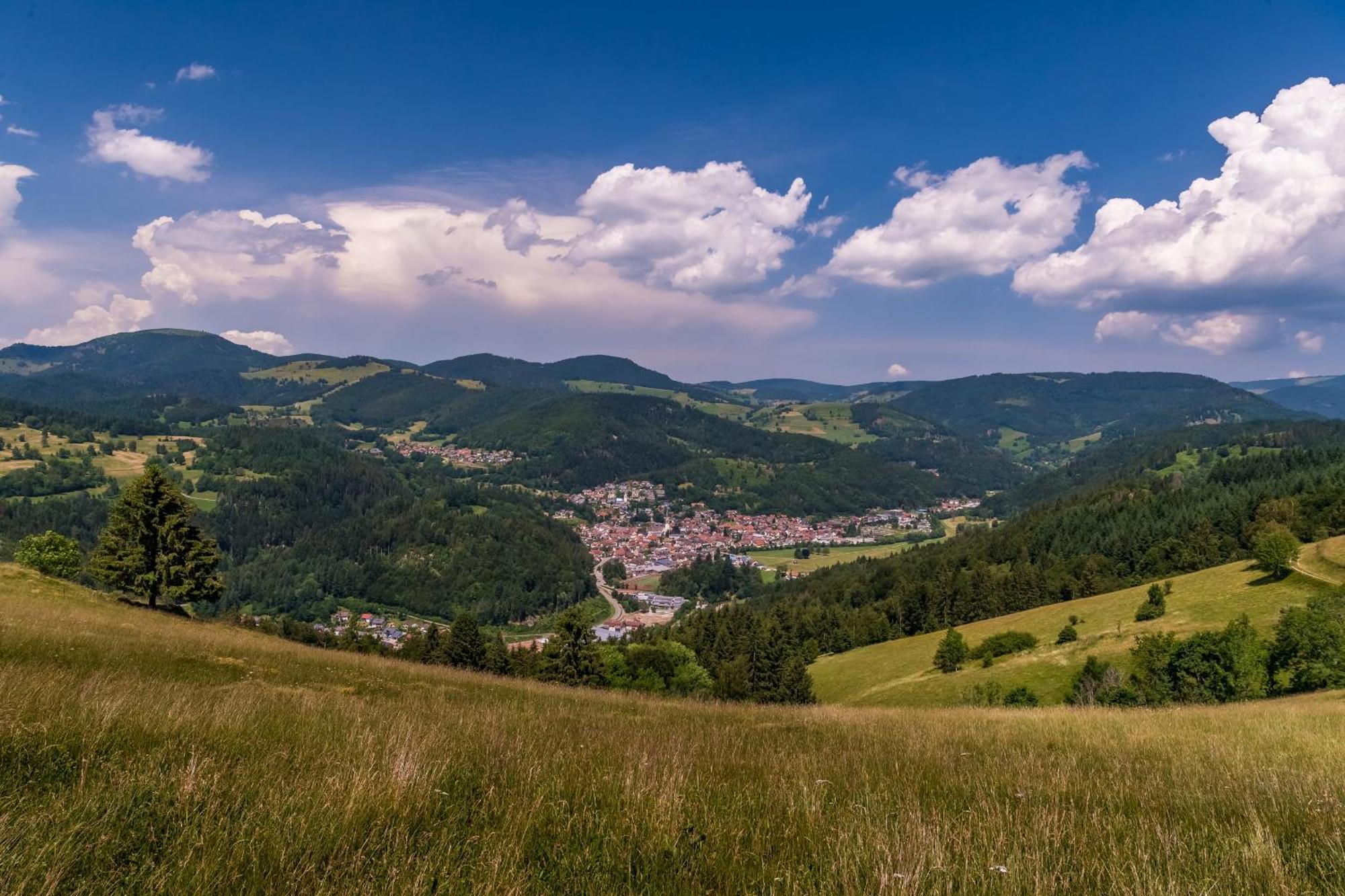Apartmán Haus Foehrenbach Schonenberg Exteriér fotografie