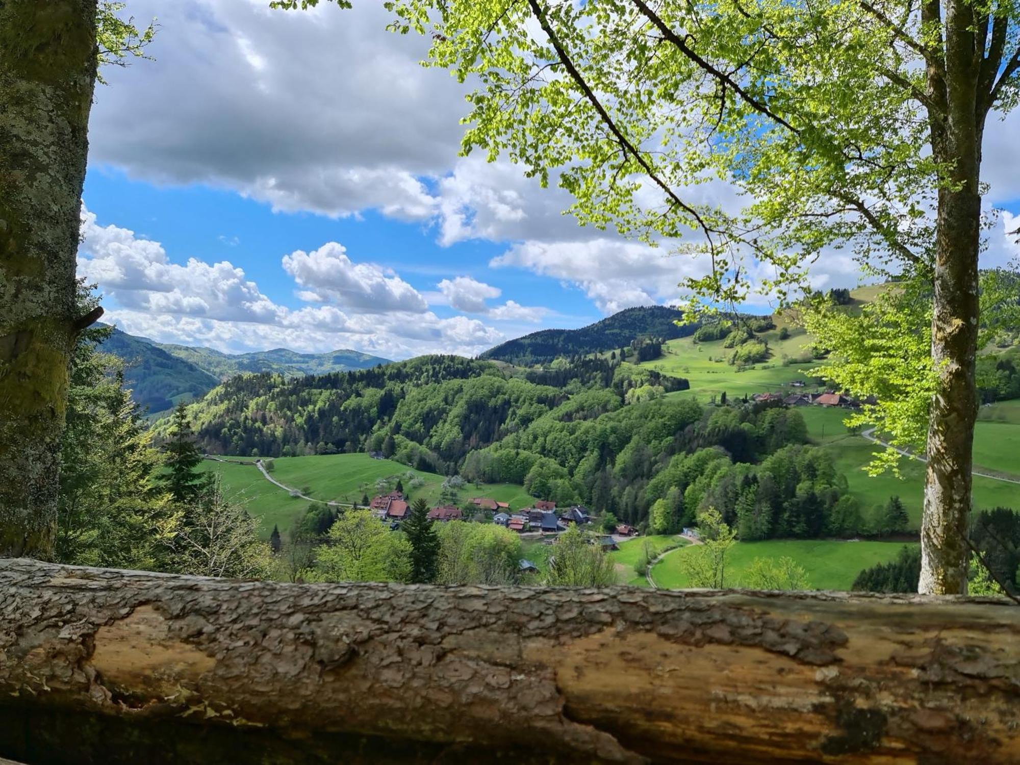 Apartmán Haus Foehrenbach Schonenberg Exteriér fotografie