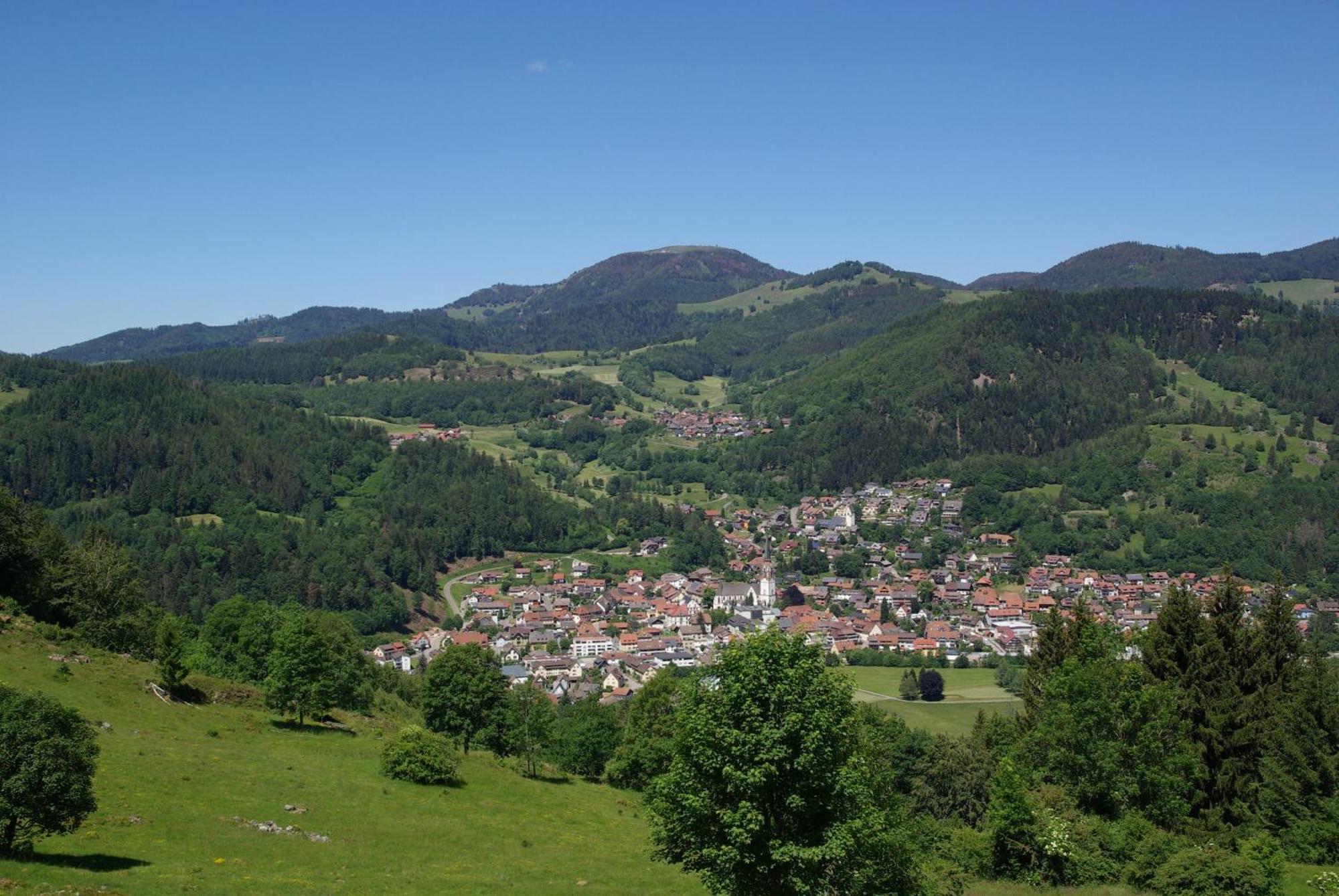 Apartmán Haus Foehrenbach Schonenberg Exteriér fotografie